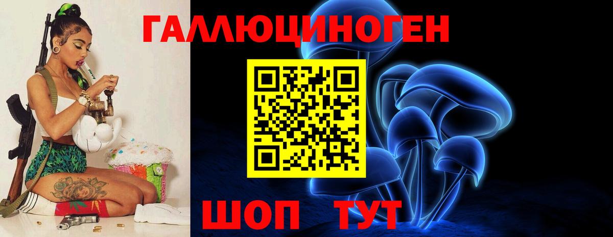 Галлюциногенные грибы Psilocybe Павловский Посад